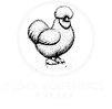 Flock Forensics